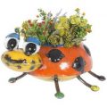 Lily The Lady Bug Planter