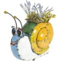 Sammy The Snail Planter